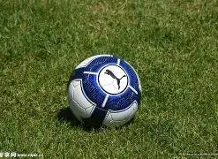 供需因素影,响下的黄金,价格波动分,开云体育,开云体育官网,开云体育app,开云体育平台,KAIYUN,SPORTS,kaiyun登录入口