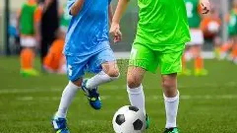 开云体育app投注 资讯 111331 7cv