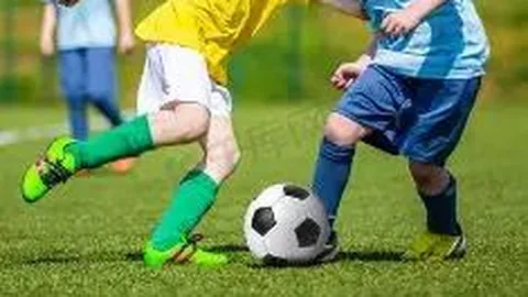 开云体育app投注 产品 114315 wa7