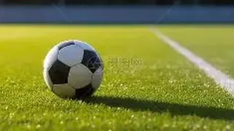 开云体育app投注 资讯 133214 903