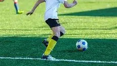 开云体育app投注 资讯 132937 019