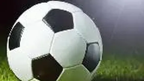 开云体育app投注 产品 101332 lgl